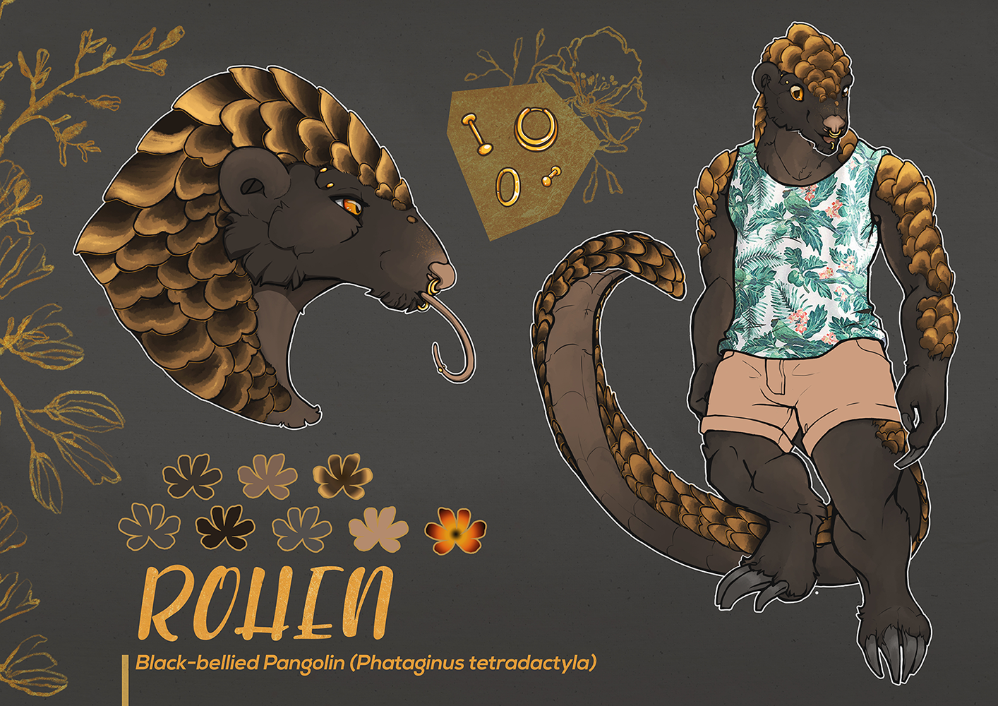 Rohen Refsheet