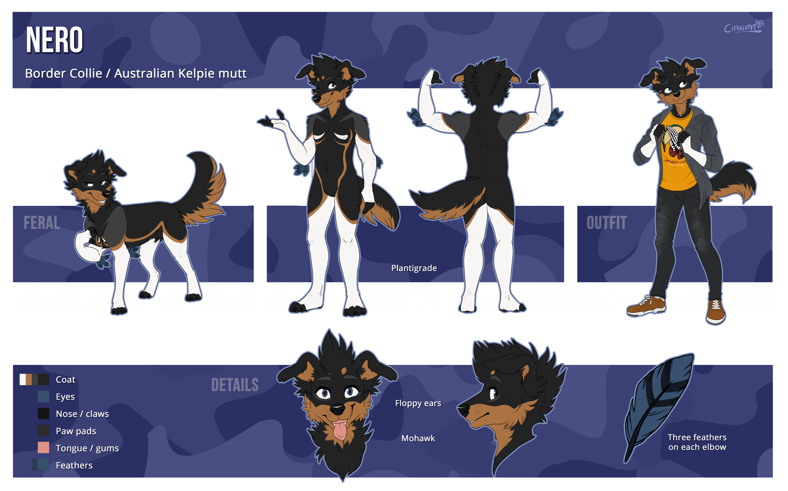 Nero Ref Sheet