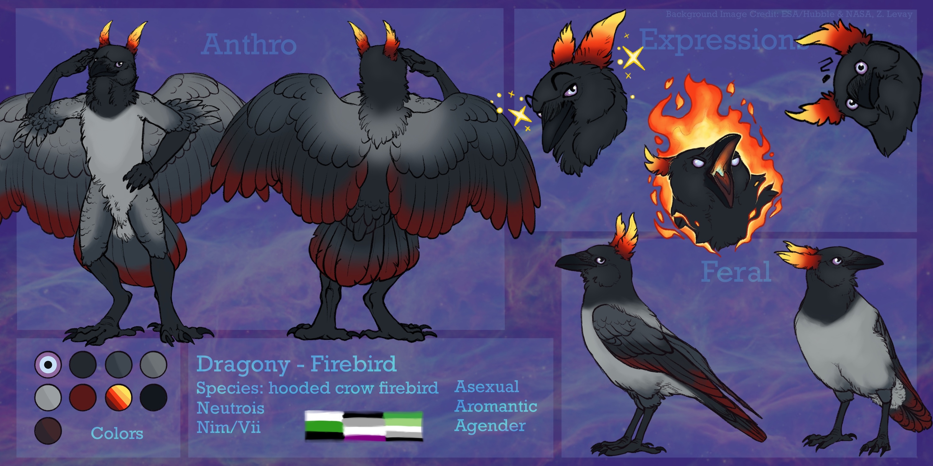Dragony Ref - Made by ValHund