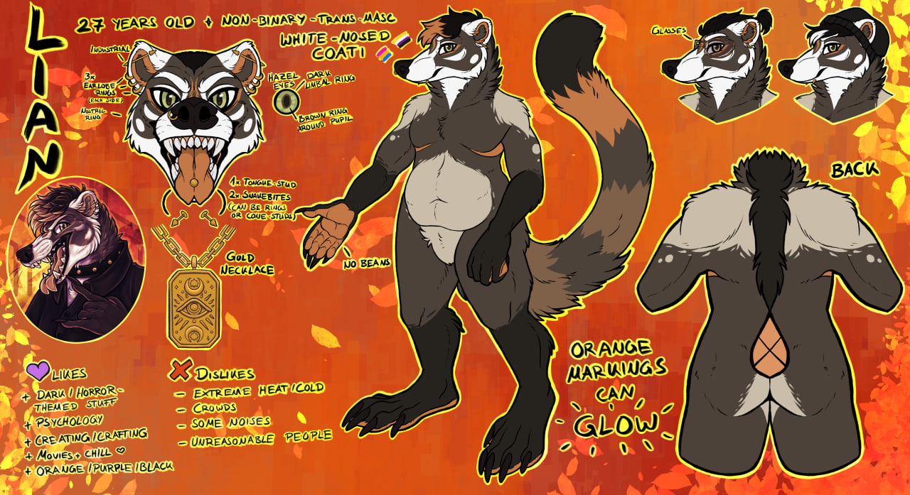 Liandris Reference sheet
