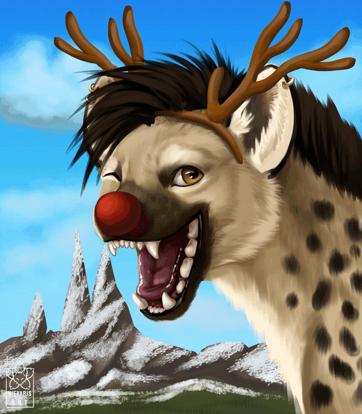 Winter-Avatar