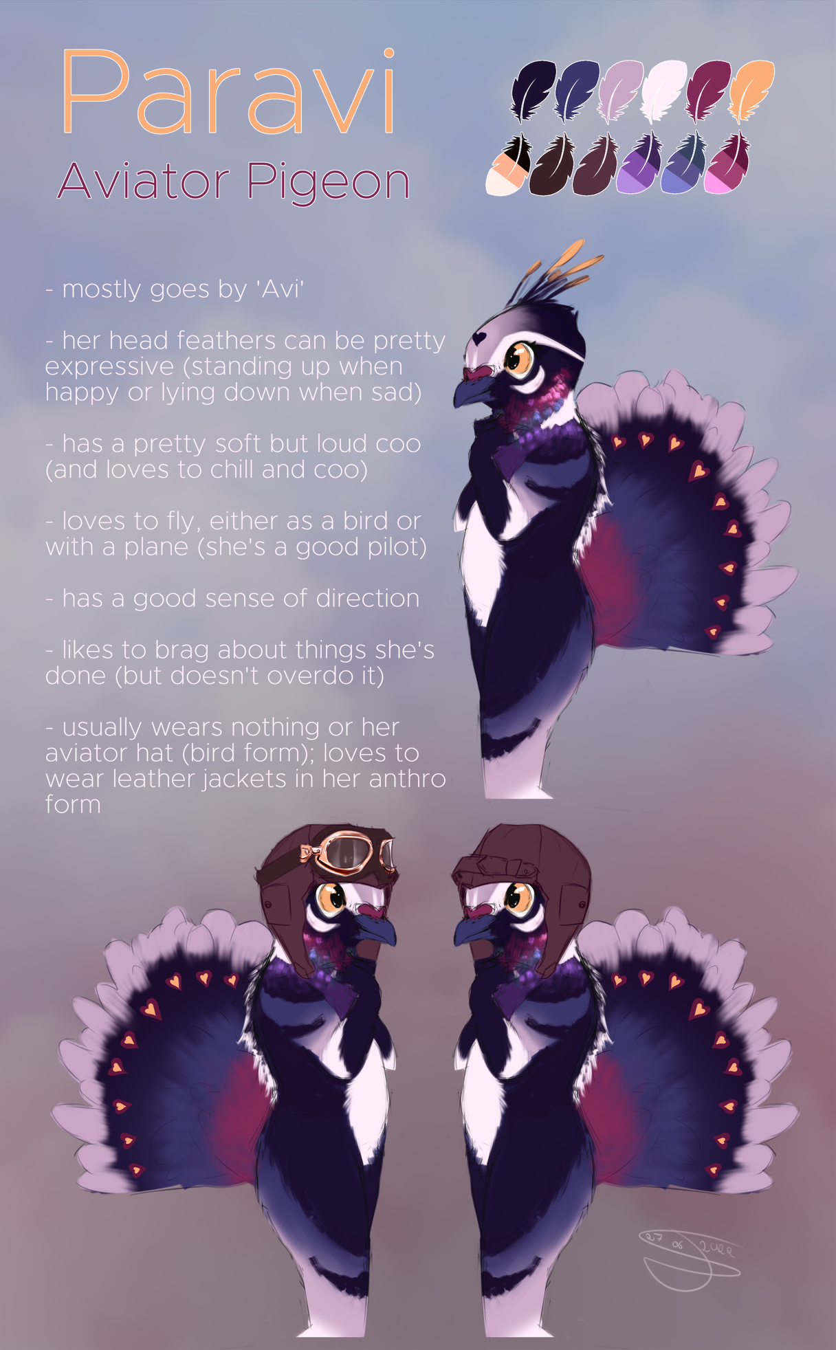 Referenz: Paravi