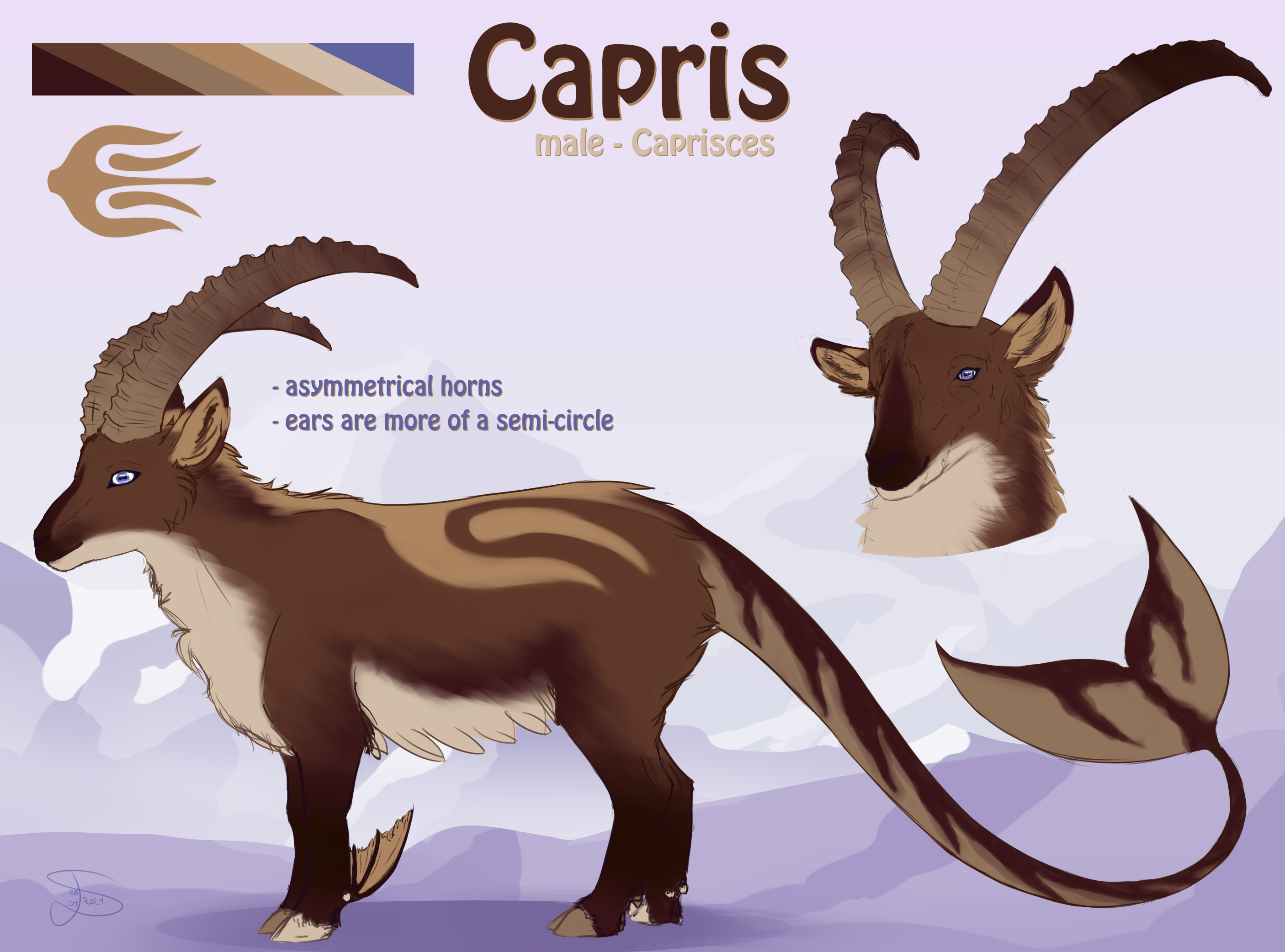 Referenz: Capris