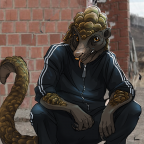 slav squat