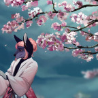Sakura Thoughts ✨