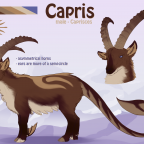 Referenz: Capris