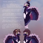 Referenz: Paravi