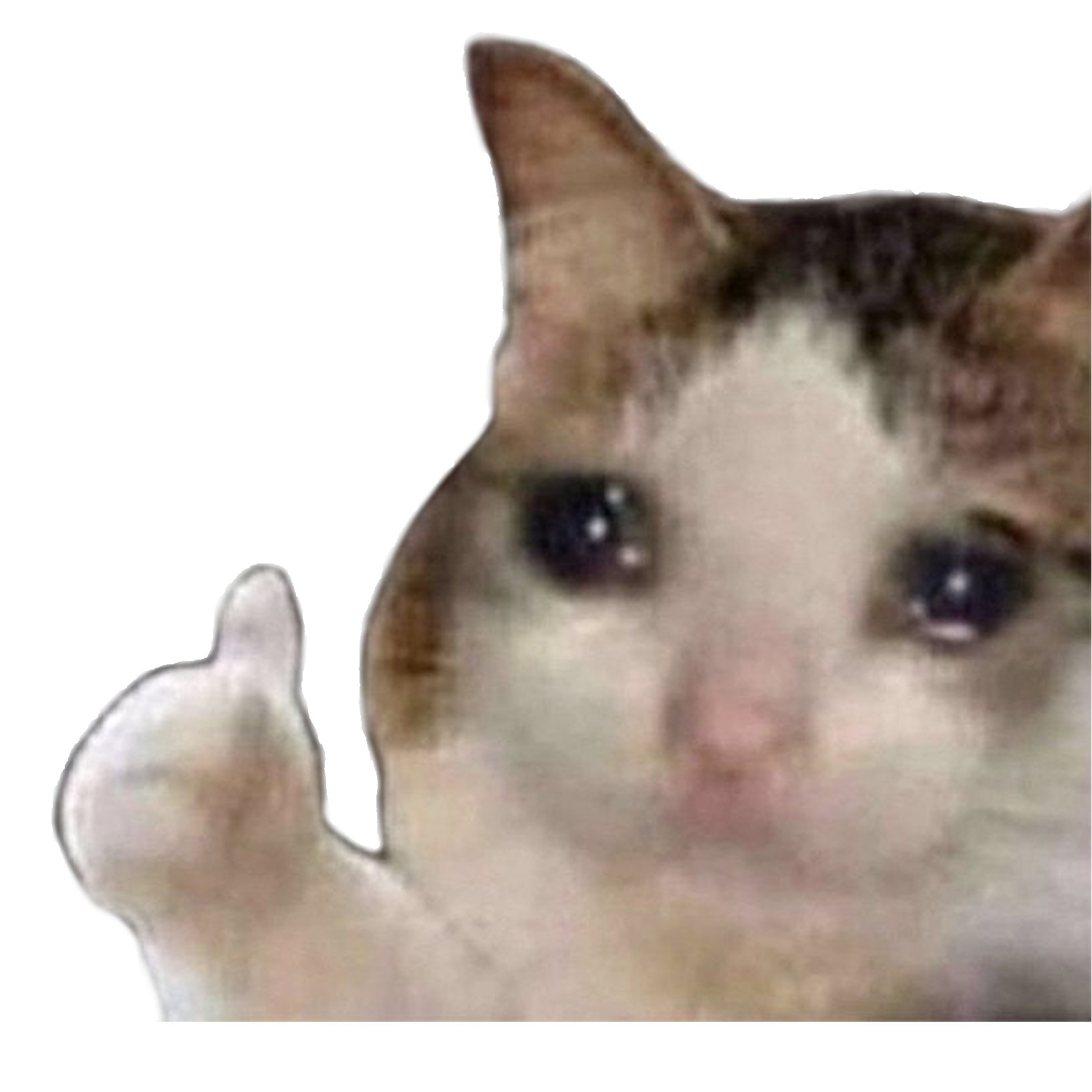 sadthumbsup